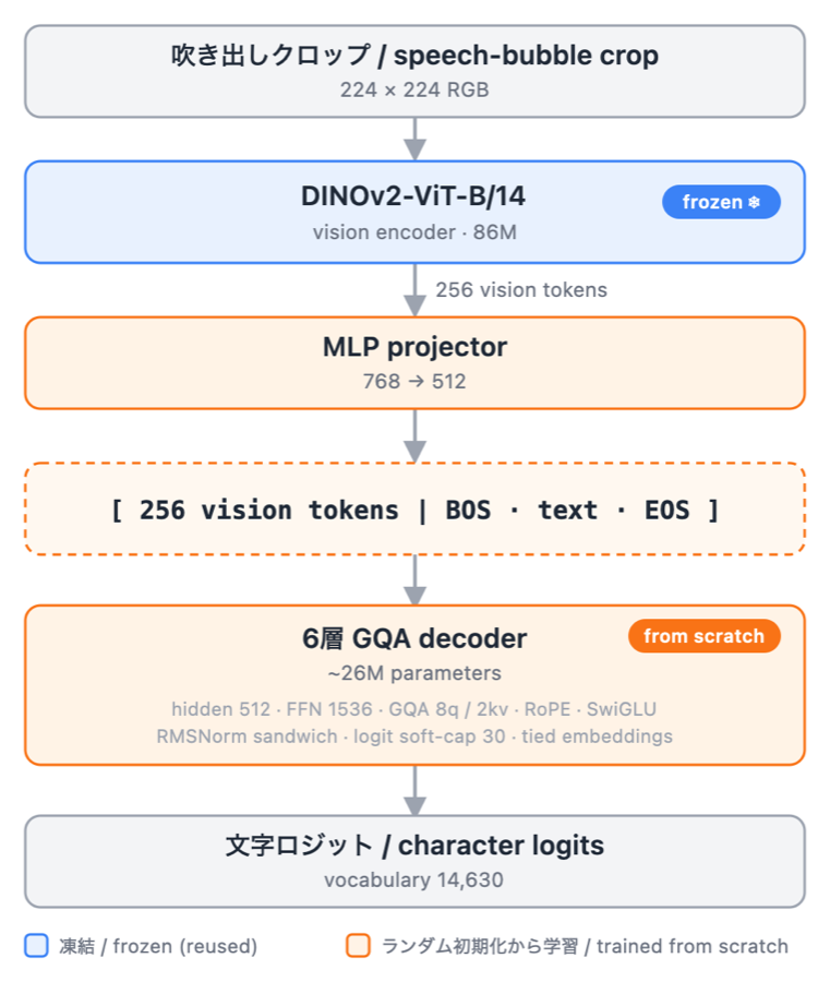 Baberu OCR のアーキテクチャ図：DINOv2エンコーダ（凍結）→MLP→6層GQAデコーダ（ゼロから学習）→文字ロジット